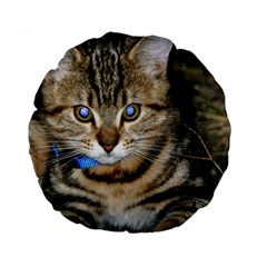 Blue-eyed Kitty Standard 15  Premium Round Cushions by trendistuff