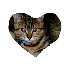 Blue-eyed Kitty Standard 16  Premium Heart Shape Cushions by trendistuff