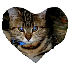 Blue-eyed Kitty Large 19  Premium Heart Shape Cushions by trendistuff