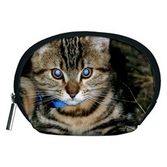 Blue-eyed Kitty Accessory Pouches (medium) 