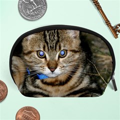 Blue-eyed Kitty Accessory Pouches (large) 