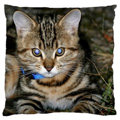 Blue-eyed Kitty Standard Flano Cushion Cases (one Side) 