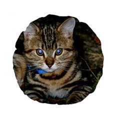 Blue-eyed Kitty Standard 15  Premium Flano Round Cushions