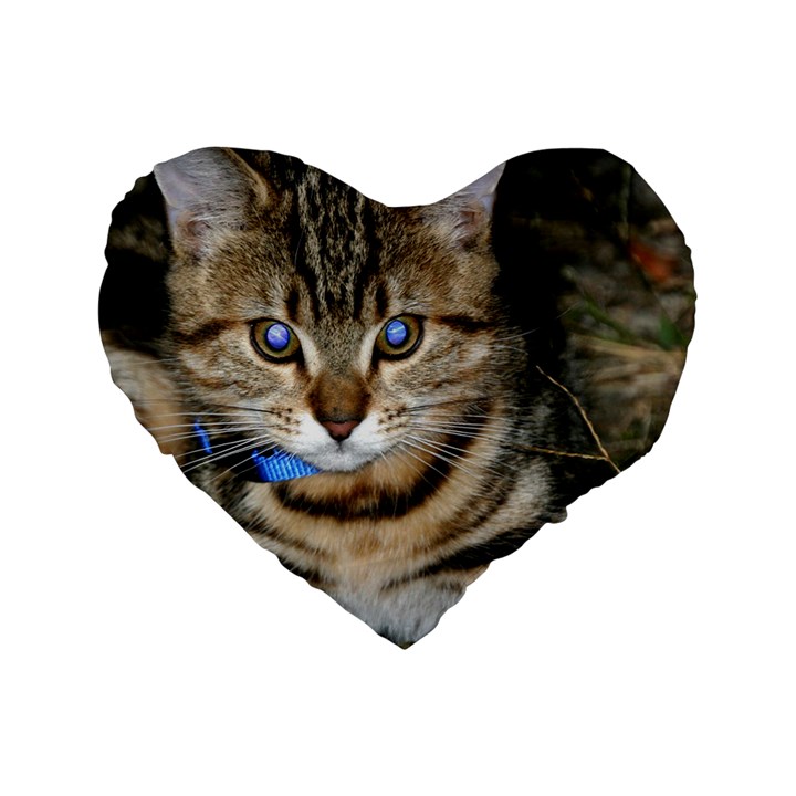 BLUE-EYED KITTY Standard 16  Premium Flano Heart Shape Cushions