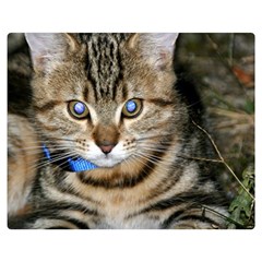 Blue-eyed Kitty Double Sided Flano Blanket (medium) 