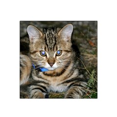 Blue-eyed Kitty Satin Bandana Scarf