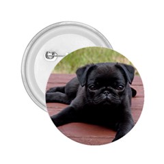 Alert Pug Puppy 2 25  Buttons by trendistuff