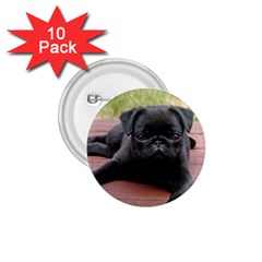 Alert Pug Puppy 1 75  Buttons (10 Pack) by trendistuff