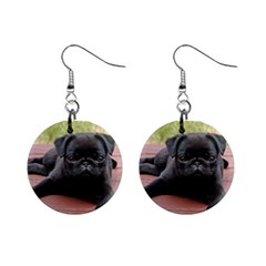 Alert Pug Puppy Mini Button Earrings by trendistuff