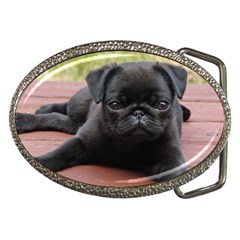 Alert Pug Puppy Belt Buckles by trendistuff