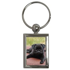 Alert Pug Puppy Key Chains (rectangle)  by trendistuff