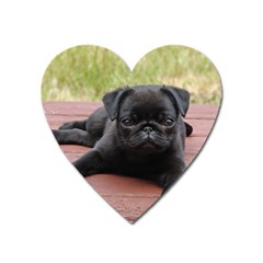 Alert Pug Puppy Heart Magnet by trendistuff