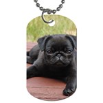 ALERT PUG PUPPY Dog Tag (One Side) Front