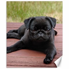 Alert Pug Puppy Canvas 8  X 10  by trendistuff