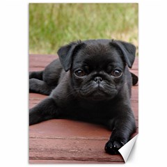 Alert Pug Puppy Canvas 12  X 18  