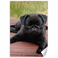 Alert Pug Puppy Canvas 20  X 30  