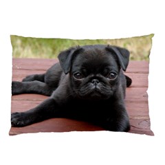 Alert Pug Puppy Pillow Cases by trendistuff