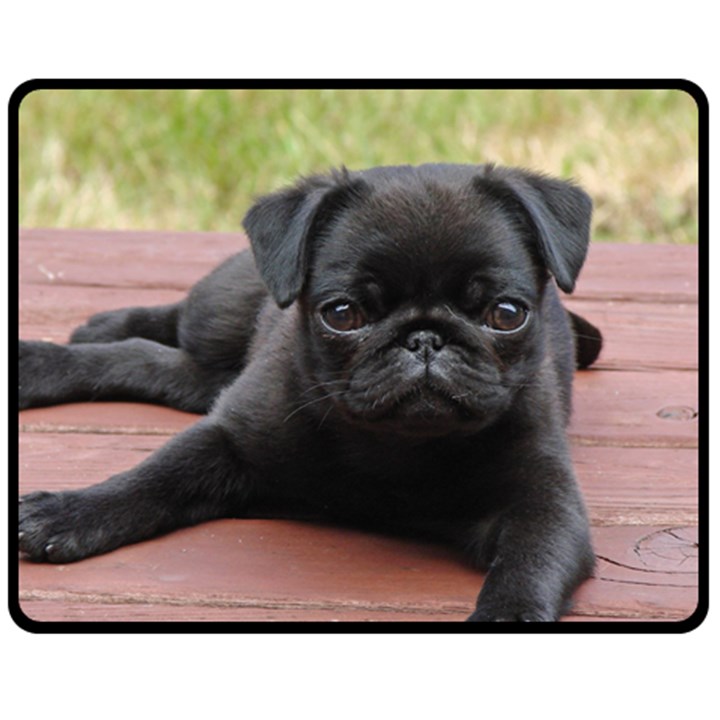 ALERT PUG PUPPY Fleece Blanket (Medium) 