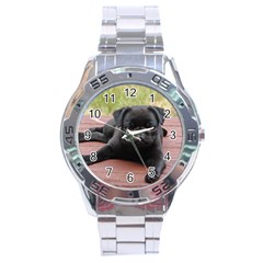 Alert Pug Puppy Stainless Steel Men s Watch by trendistuff