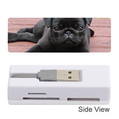 Alert Pug Puppy Memory Card Reader (stick) 