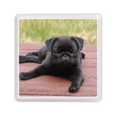 Alert Pug Puppy Memory Card Reader (square) 