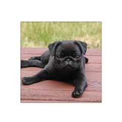 Alert Pug Puppy Satin Bandana Scarf