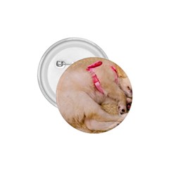 Adorable Sleeping Puppy 1 75  Buttons by trendistuff