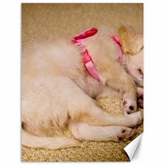 Adorable Sleeping Puppy Canvas 12  X 16   by trendistuff