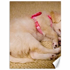 Adorable Sleeping Puppy Canvas 36  X 48   by trendistuff