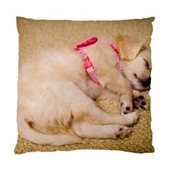 Adorable Sleeping Puppy Standard Cushion Case (one Side)  by trendistuff