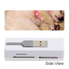 Adorable Sleeping Puppy Memory Card Reader (stick) 