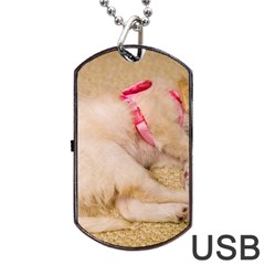 Adorable Sleeping Puppy Dog Tag Usb Flash (two Sides) 