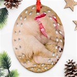 ADORABLE SLEEPING PUPPY Ornament (Oval Filigree)  Front