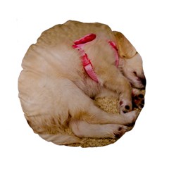 Adorable Sleeping Puppy Standard 15  Premium Round Cushions by trendistuff