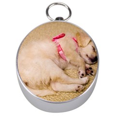 Adorable Sleeping Puppy Silver Compasses by trendistuff