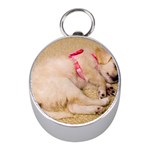 ADORABLE SLEEPING PUPPY Mini Silver Compasses Front