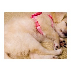 Adorable Sleeping Puppy Double Sided Flano Blanket (mini) 