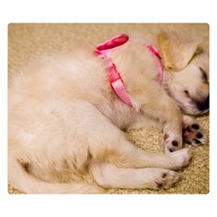 Adorable Sleeping Puppy Double Sided Flano Blanket (small) 