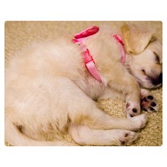 Adorable Sleeping Puppy Double Sided Flano Blanket (medium) 