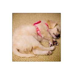 Adorable Sleeping Puppy Satin Bandana Scarf by trendistuff