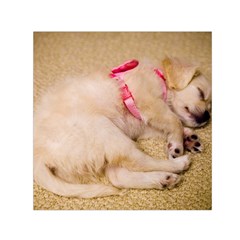 Adorable Sleeping Puppy Small Satin Scarf (square)  by trendistuff