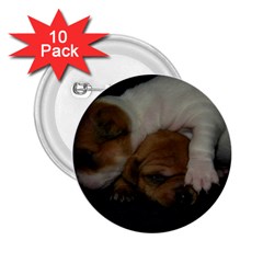 Adorable Baby Puppies 2 25  Buttons (10 Pack)  by trendistuff