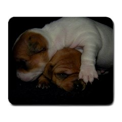 Adorable Baby Puppies Large Mousepads by trendistuff