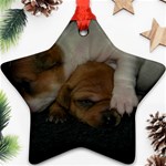 ADORABLE BABY PUPPIES Star Ornament (Two Sides)  Front