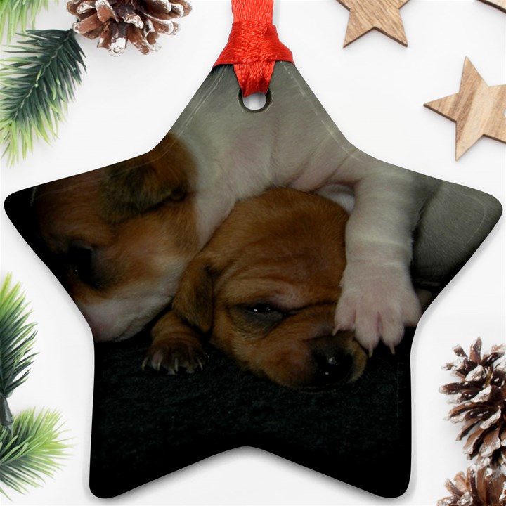 ADORABLE BABY PUPPIES Star Ornament (Two Sides) 