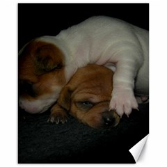 Adorable Baby Puppies Canvas 16  X 20  