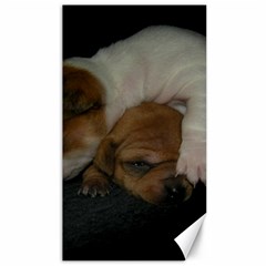 Adorable Baby Puppies Canvas 40  X 72  