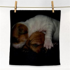 Adorable Baby Puppies Face Towel by trendistuff