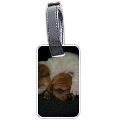 Adorable Baby Puppies Luggage Tags (one Side)  by trendistuff