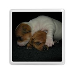 Adorable Baby Puppies Memory Card Reader (square) 